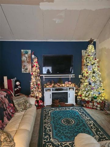 622 Francis Street, Gillespie, IL 62033