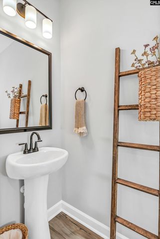 2708 Pawtucket Way, Chapin, SC 29036