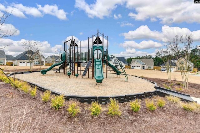 2708 Pawtucket Way, Chapin, SC 29036