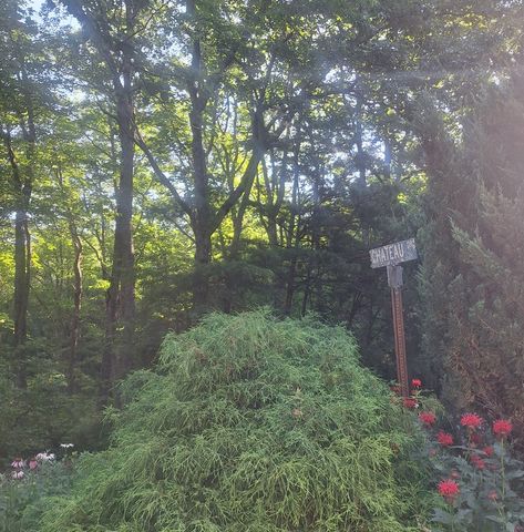 Lot 9 Cook Mountain Estate, Blairsville, GA 30512