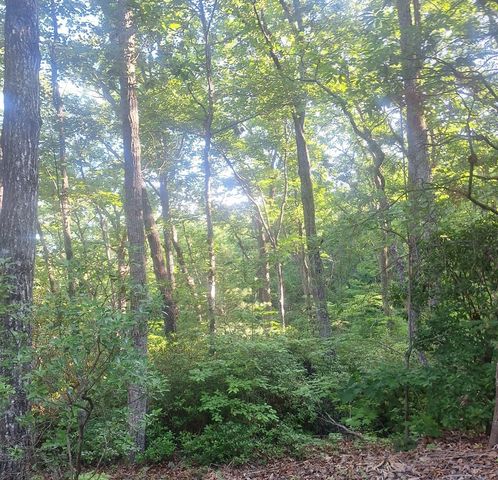 Lot 9 Cook Mountain Estate, Blairsville, GA 30512