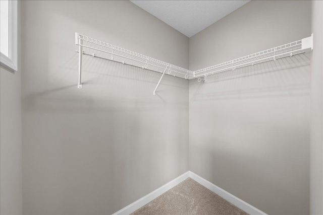 819 Spancil Hill View, Woodbury, MN 55129