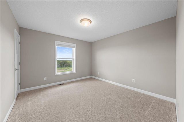 819 Spancil Hill View, Woodbury, MN 55129