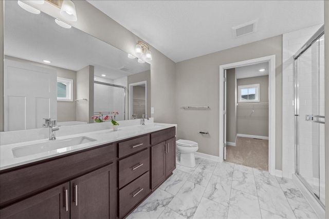 819 Spancil Hill View, Woodbury, MN 55129