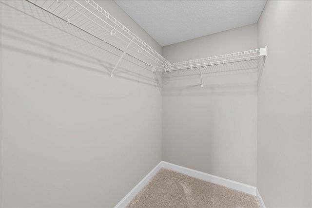 819 Spancil Hill View, Woodbury, MN 55129