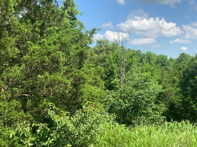 1160 Dennis Road, Lawrenceburg, KY 40342