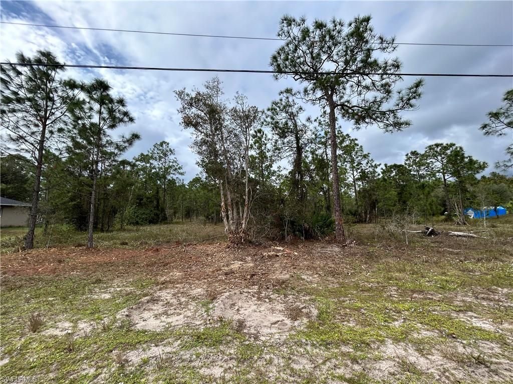 445 Jaguar BLVD, LEHIGH ACRES, FL 33936 — photo 2