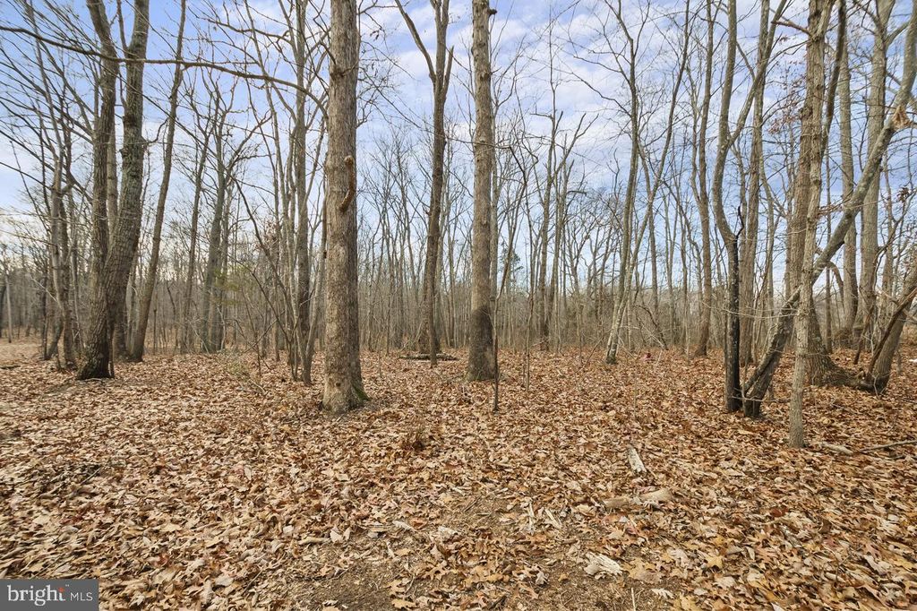 Image 12 of property listing at 7389 LEEDS MANOR RD, Marshall, VA 20115