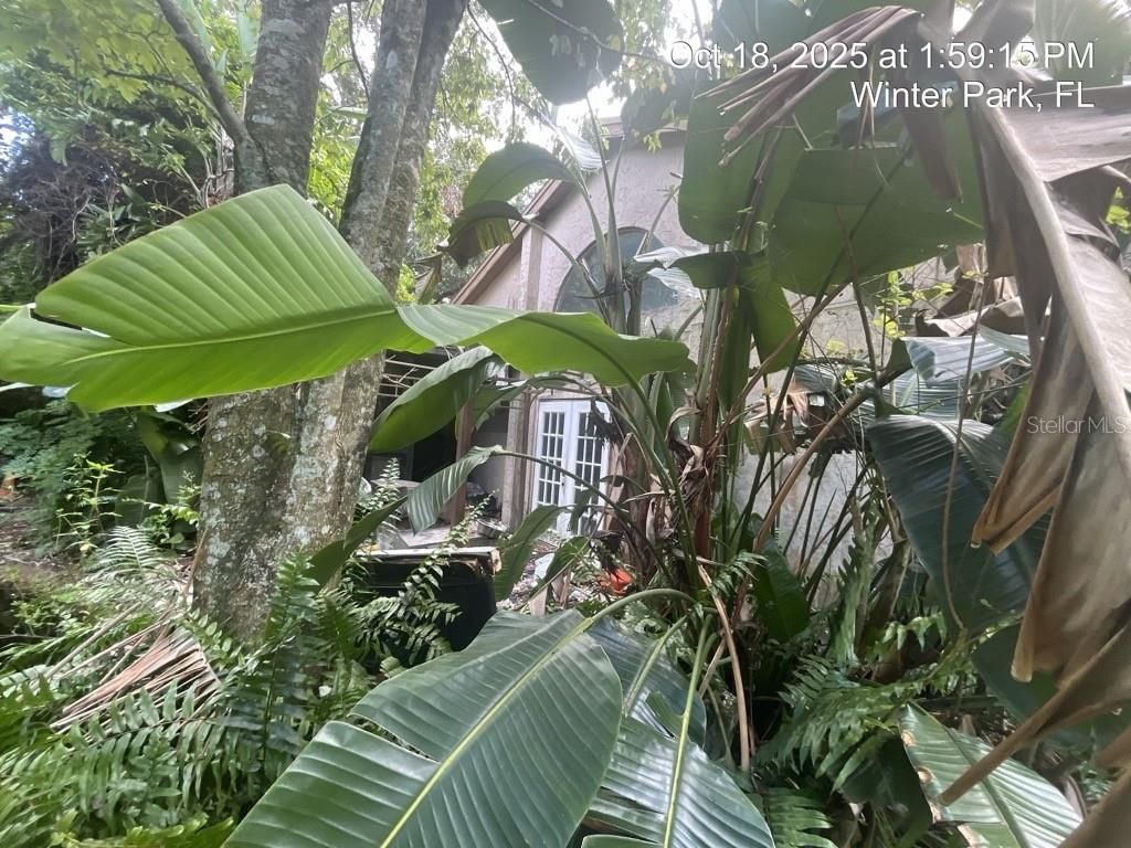 1509 SUGARWOOD CIRCLE, Winter Park, FL 32792