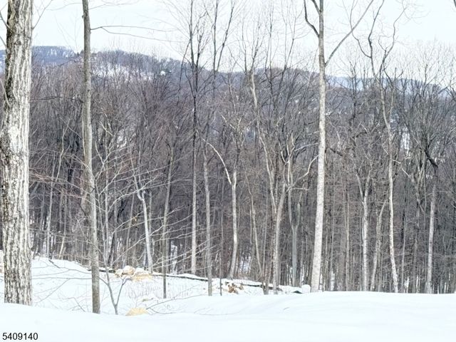 8 Bristol Ridge Rd, Boonton Twp., NJ 07005