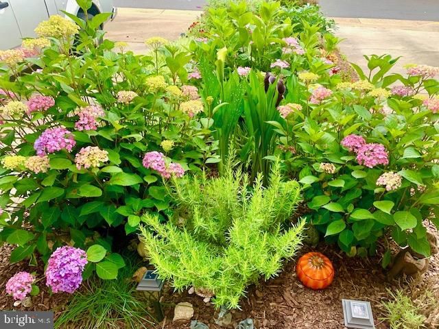 9411 WILCOXEN DR, Manassas Park, VA 20111