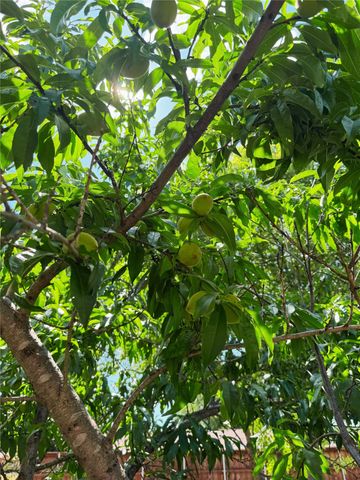 1425 Coffeyville Trail, Plano, TX 75023