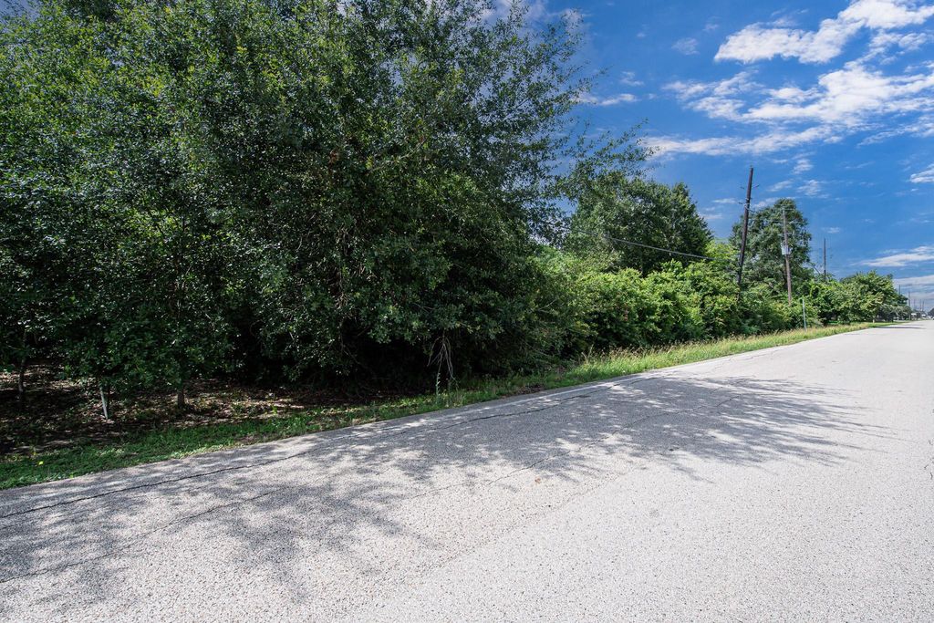 24807 Saddlespur Tr 40 Lane, Katy, TX 77494