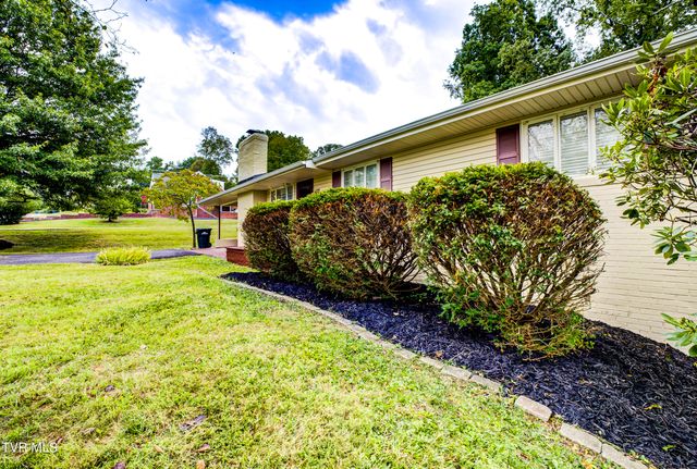 167 Cherry Lane, Bristol, VA 24201