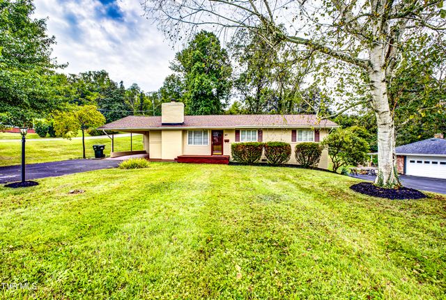 167 Cherry Lane, Bristol, VA 24201