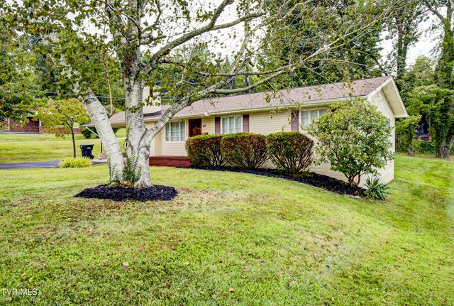 167 Cherry Lane, Bristol, VA 24201