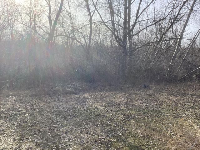 6560 County Road 11 NW, Alexandria, MN 56308