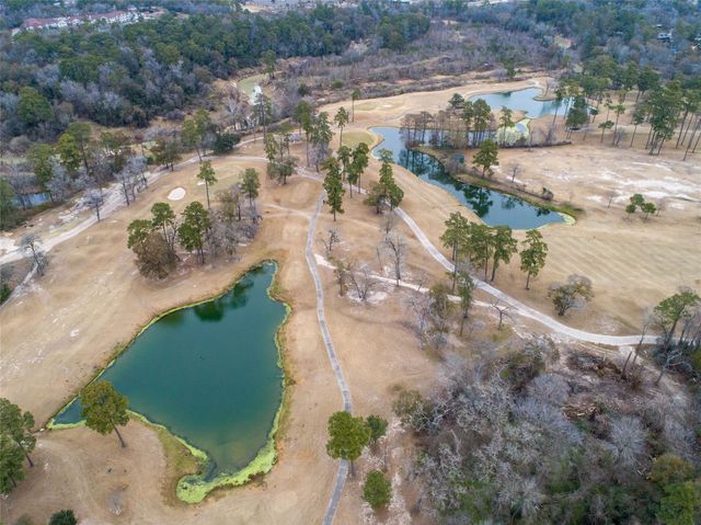 3003 Green Vista, Houston, TX 77068