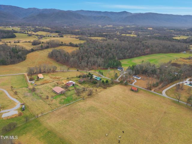 355 Jay Fanning Road, Afton, TN 37616