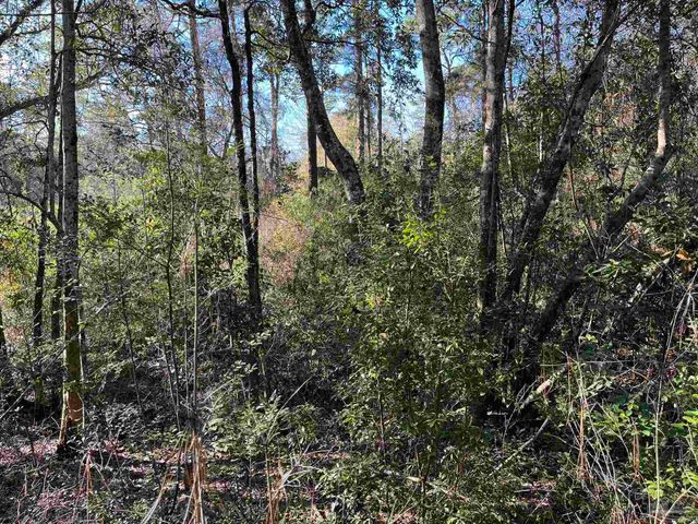 1046 Fleming Dr, Pensacola, FL 32534