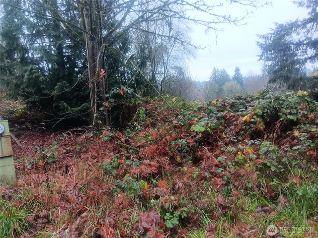 365 SE Arcadia Road SE, Shelton, WA 98584