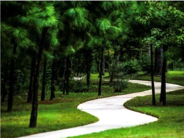 25330 Fallen Acorn Court, Porter, TX 77365