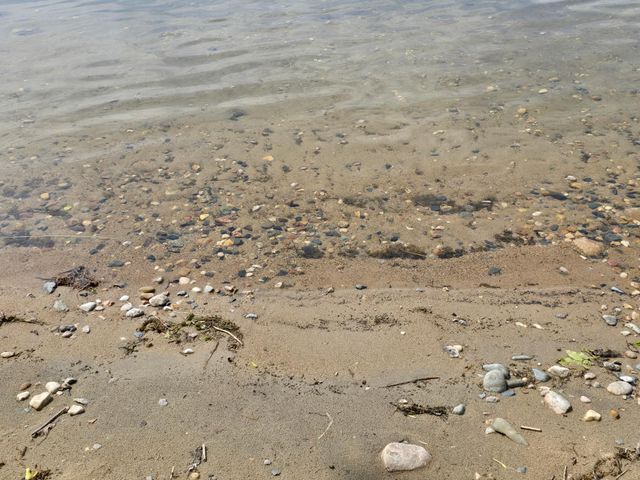 29501 Maplewood Road HORSESHOE, Callaway, MN 56521