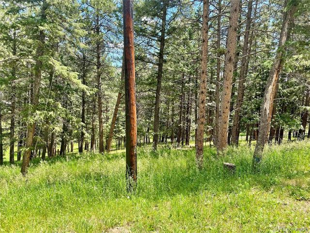 6616 High Dr, Morrison, CO 80465