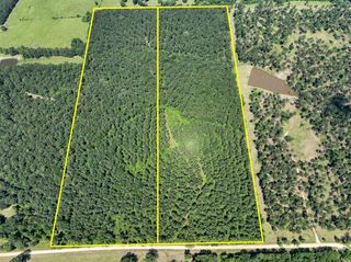 2 Fodice-2 Road, Pennington, TX 75845