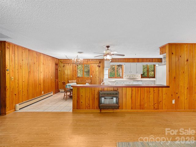 1065 Upper Pig Pen Road, Green Mountain, NC 28740