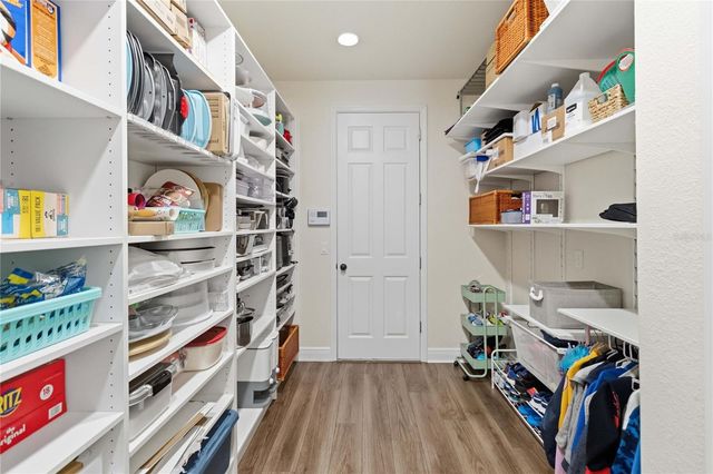 6012 ROSEATE SPOONBILL DRIVE, Windermere, FL 34786