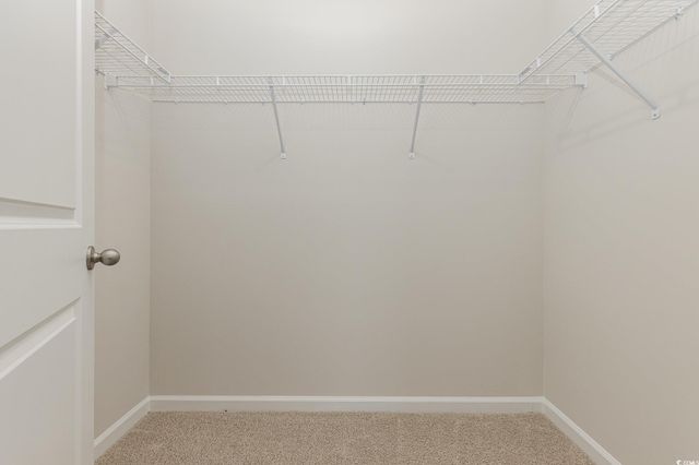 394 Acosta Circle, Conway, SC 29527