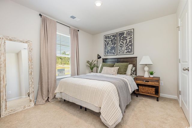 394 Acosta Circle, Conway, SC 29527