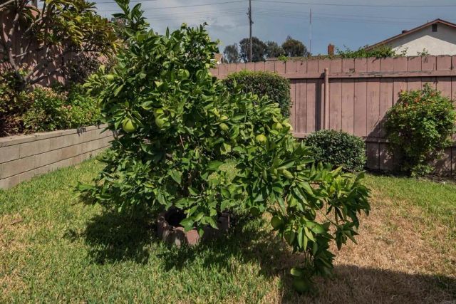 4966 Perkon Place, San Diego, CA 92105