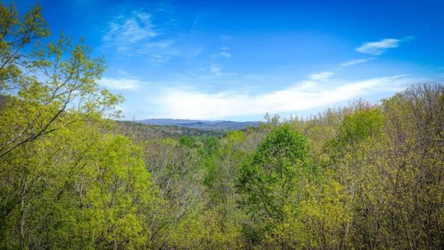 245 Davenport Mountain Road 3, Blue Ridge, GA 30513