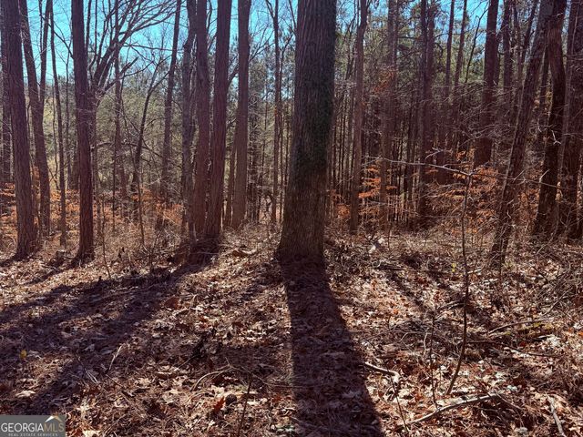 2487 S Carroll Court, Villa Rica, GA 30180