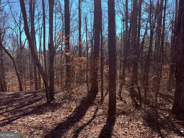 2487 S Carroll Court, Villa Rica, GA 30180