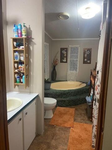 320 Oak Tree Drive, Point Blank, TX 77364