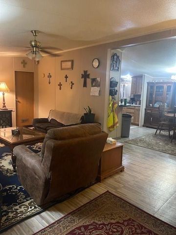 320 Oak Tree Drive, Point Blank, TX 77364