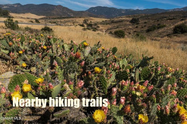 1101 Via Hispano, Newbury Park, CA 91320