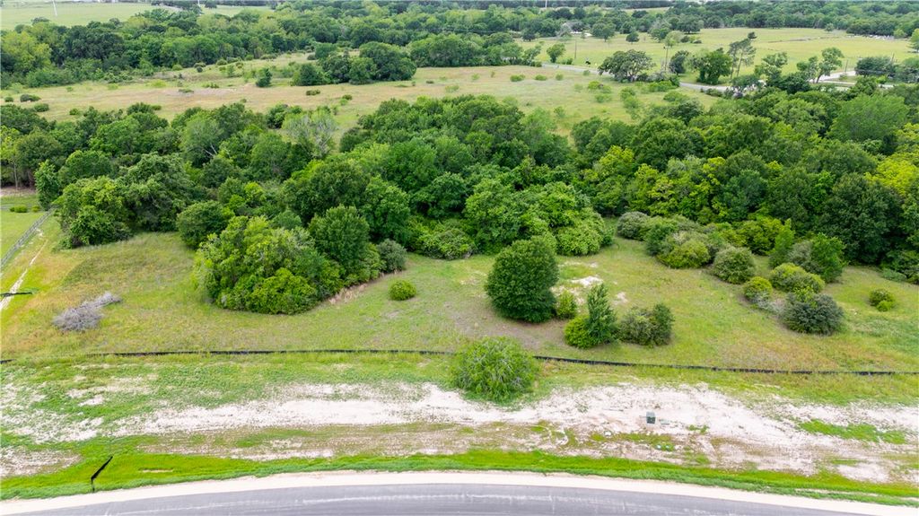 10712 Cook Crossing, College Station, TX 77845 — photo 3