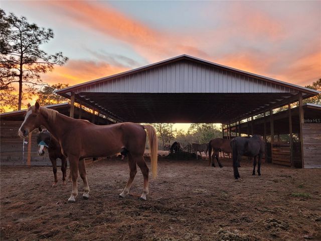 7150 SE 147 AVE 2, Morriston, FL 32668