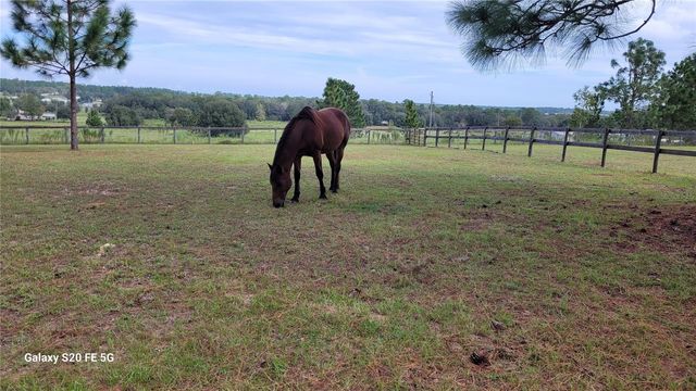 7150 SE 147 AVE 2, Morriston, FL 32668