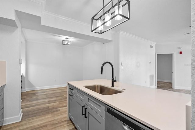 911 N ORANGE AVENUE 309, Orlando, FL 32801