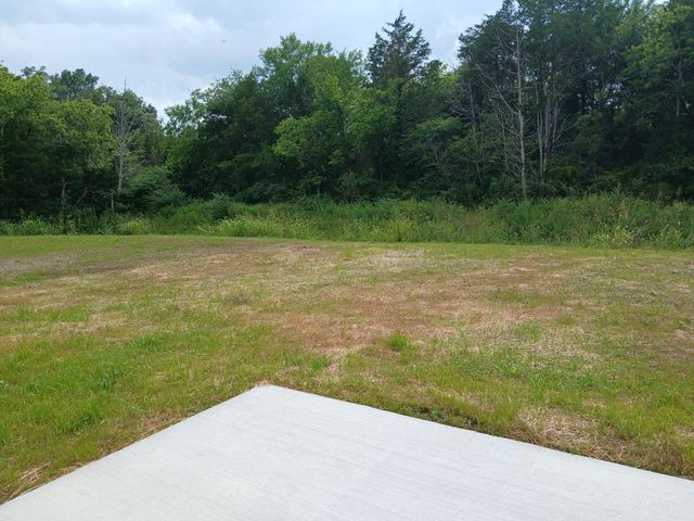 2855 Upstream Road, Christiana, TN 37037