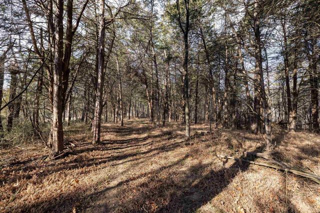 Lot 8 PROMISE LN, Stanley, VA 22851