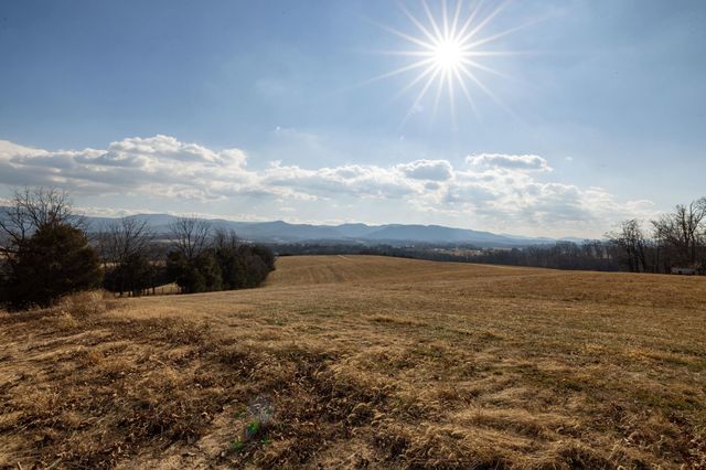 Lot 8 PROMISE LN, Stanley, VA 22851