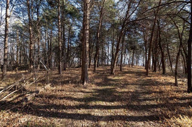 Lot 8 PROMISE LN, Stanley, VA 22851