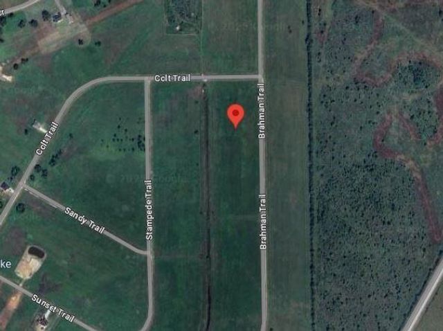 116 Brahman, Angleton, TX 77515