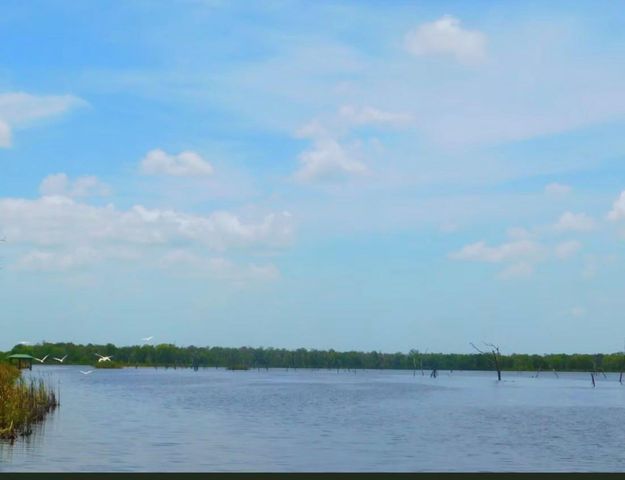 116 Brahman, Angleton, TX 77515